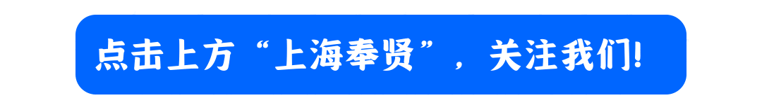 开云体育官网-热血绿茵，燃动奉贤！第三届“海里杯”职工足球赛精彩收官